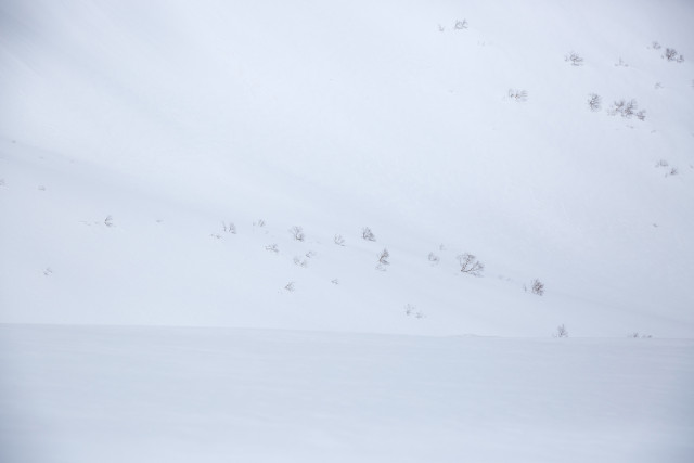 坂田貴広写真展より 天神