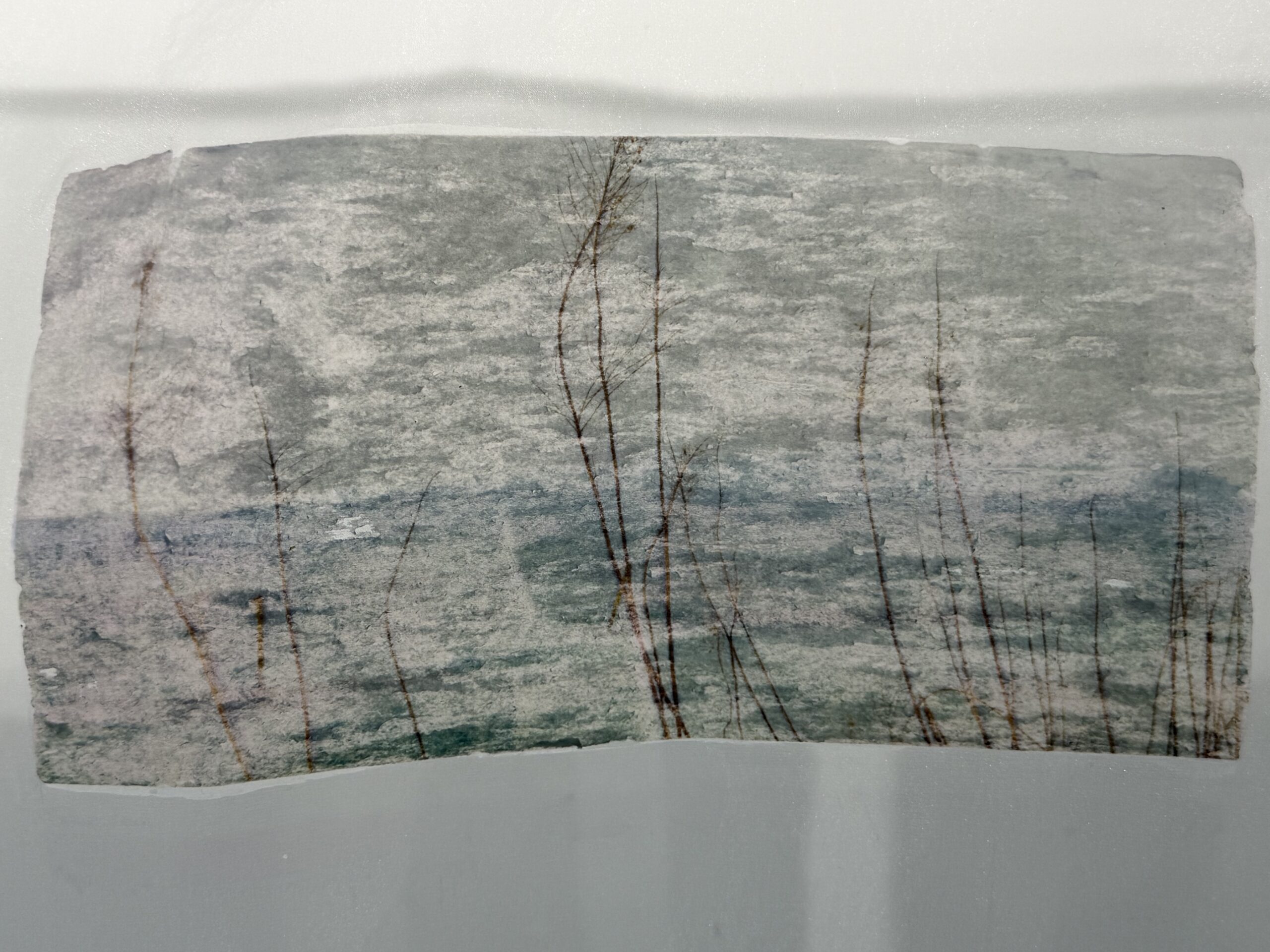 いとなギャラリー第36回　杉村紗季子 展